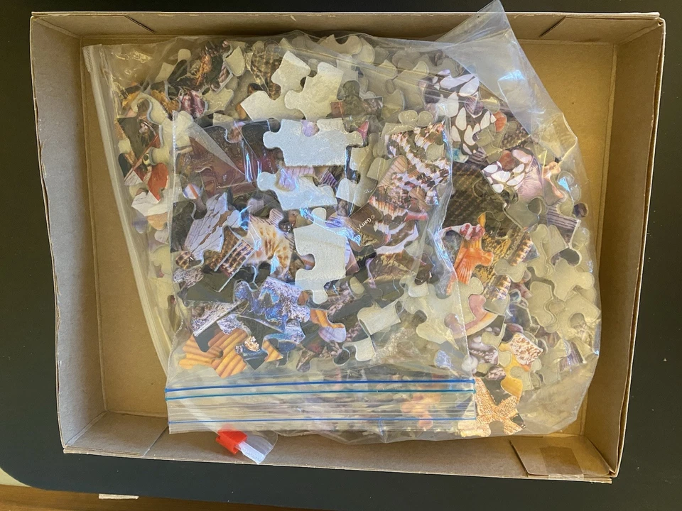 Lot 3 Complete 300 pc Puzzles Seashells, Ravensburger Calm Campsite, Succulents - Image 3 of 4