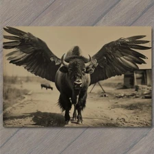 POSTCARD Buffalo Bison Majestic Winged Soaring in the Sky Buffalo Wings Funny