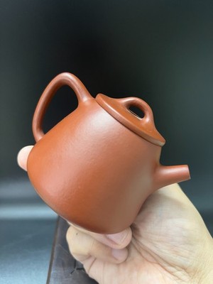100cc chinese Yixing Handmade Zisha teapot Zhu Clay ShiPiao Gongfu Hu Tea Pot