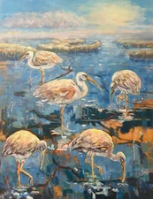 Marsh Birds of Baldhead Island