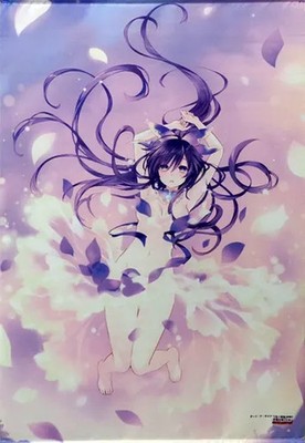 Tapestry [Single Item] Tohka Yatogami B2 Tapestry ''Date A Live Tsunako Art Book
