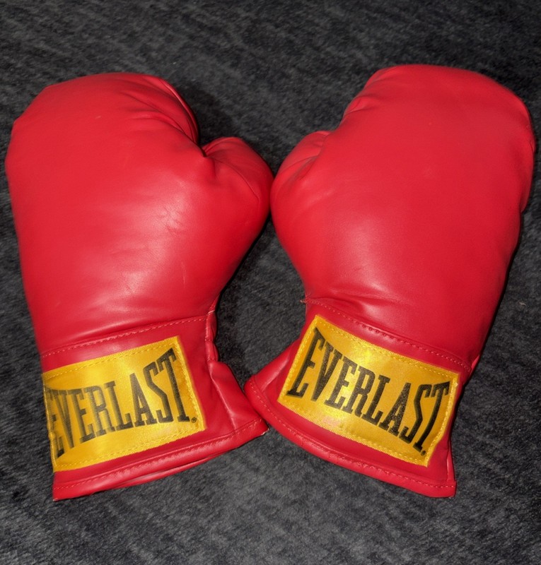 Everlast Laceless Training Boxing Gloves 9 Oz, Size Small S,M