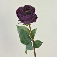 Artplants KüNstliche Kohl-Rose Taynara, Dunkellila, 50Cm, Ø9Cm