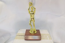BASKETBALL Boys Male Special Award Trophy, Real Wood Base FastShip