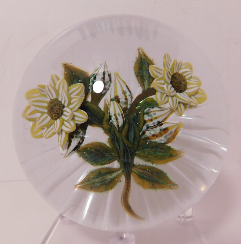 A Dazzling Signed William Manson 2 Yellow & Gray Wild Roses ArtGlass Paperweight