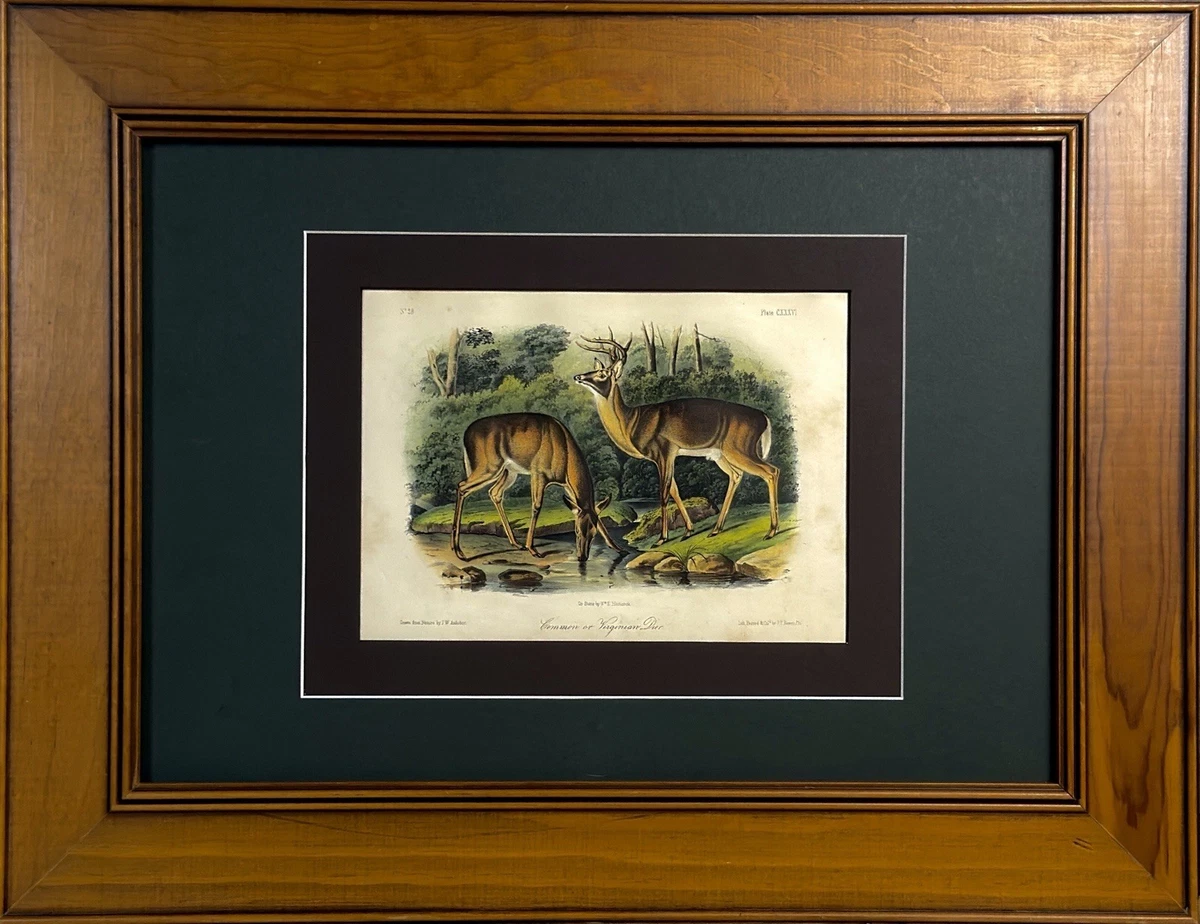 John Doe Print for sale | eBay