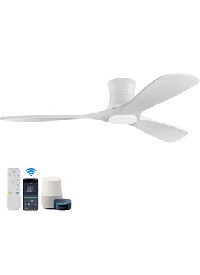 HOENOFLY Low Profile Smart Ceiling Fan
