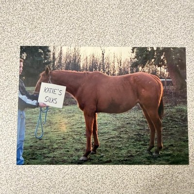 Horse & Person ''Katie's Silks'' 1990s Snapshot Photograph Equestrian Farm Life