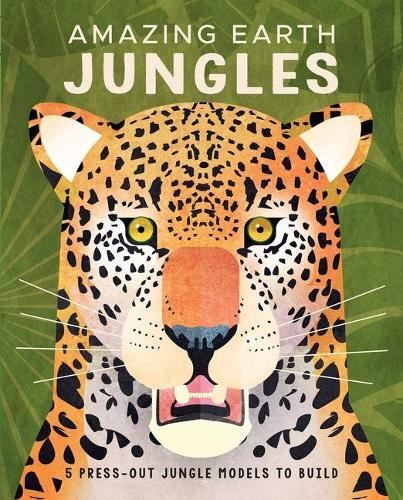 Amazing Earth Jungle Like New Book, Paul Daviz, Hardback