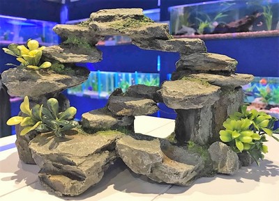 large aquarium decorations