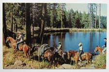 California Los Angeles Pines Recreational Park Horse Riding Postcard