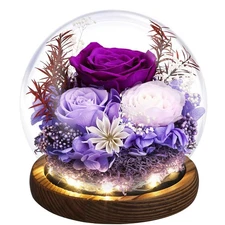 Mother's Day Eternal Rose Gifts for Mom, Preserved Real Rose in Glass Dome wi...