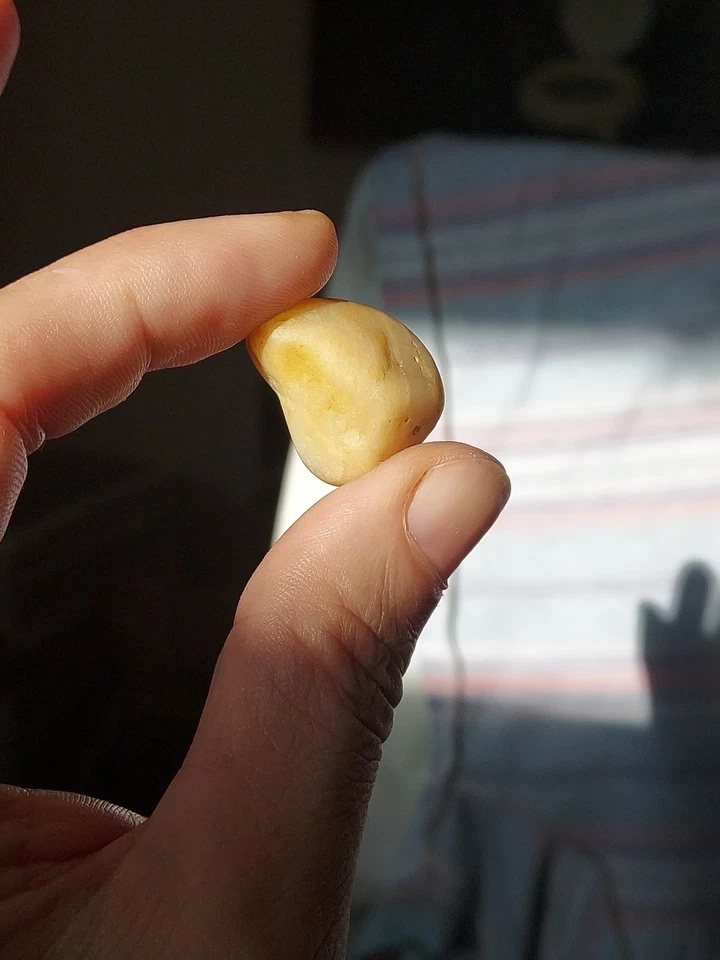 Ancient Natural Clam Pearl - Image 4 of 4