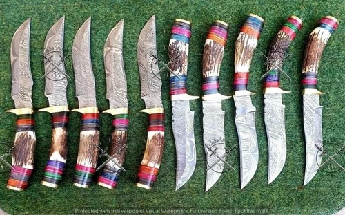 LOT OF 10 10 INCH HANDMADE DAMASCUS STEEL SKINNER KNIFE STAG\ANTLER W/SHEATH - Picture 2 of 4