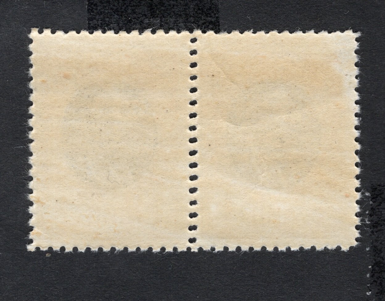 Serbia 1905 pair of stamp Mi#92 Double perf MH CV=12$