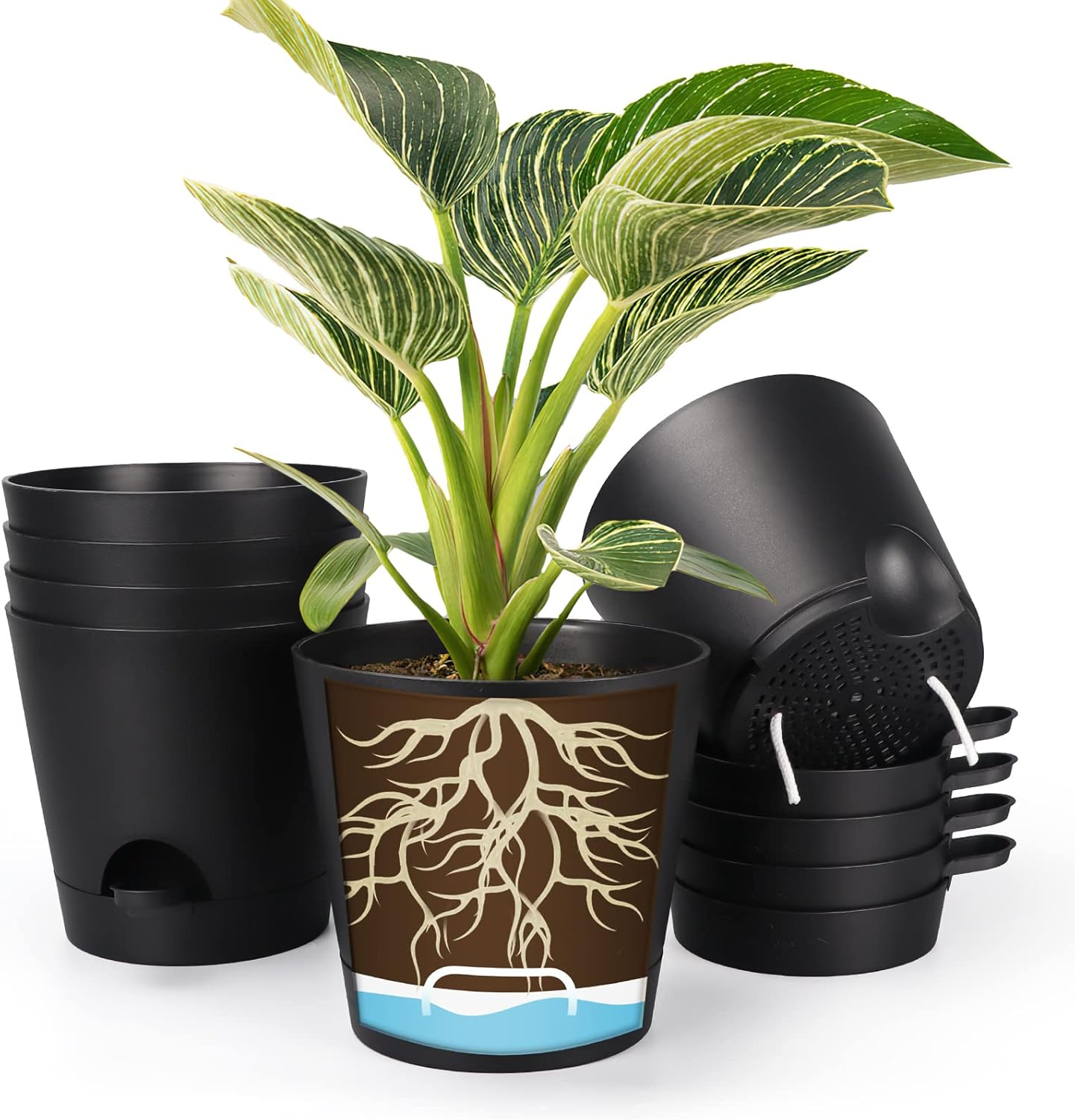 8 Inch Self Watering Pots for Indoor, 6 Pack Plastic Plant Pots with Drainage Ho