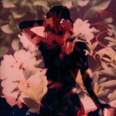 Modern Vices Modern Vices CD New 634457663626