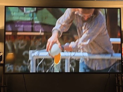 "Bam's Bad Ass Game Show" DVD, Bam Magera, Brandon Novak. Unaired TV Show Reg 1 - Picture 24 of 24