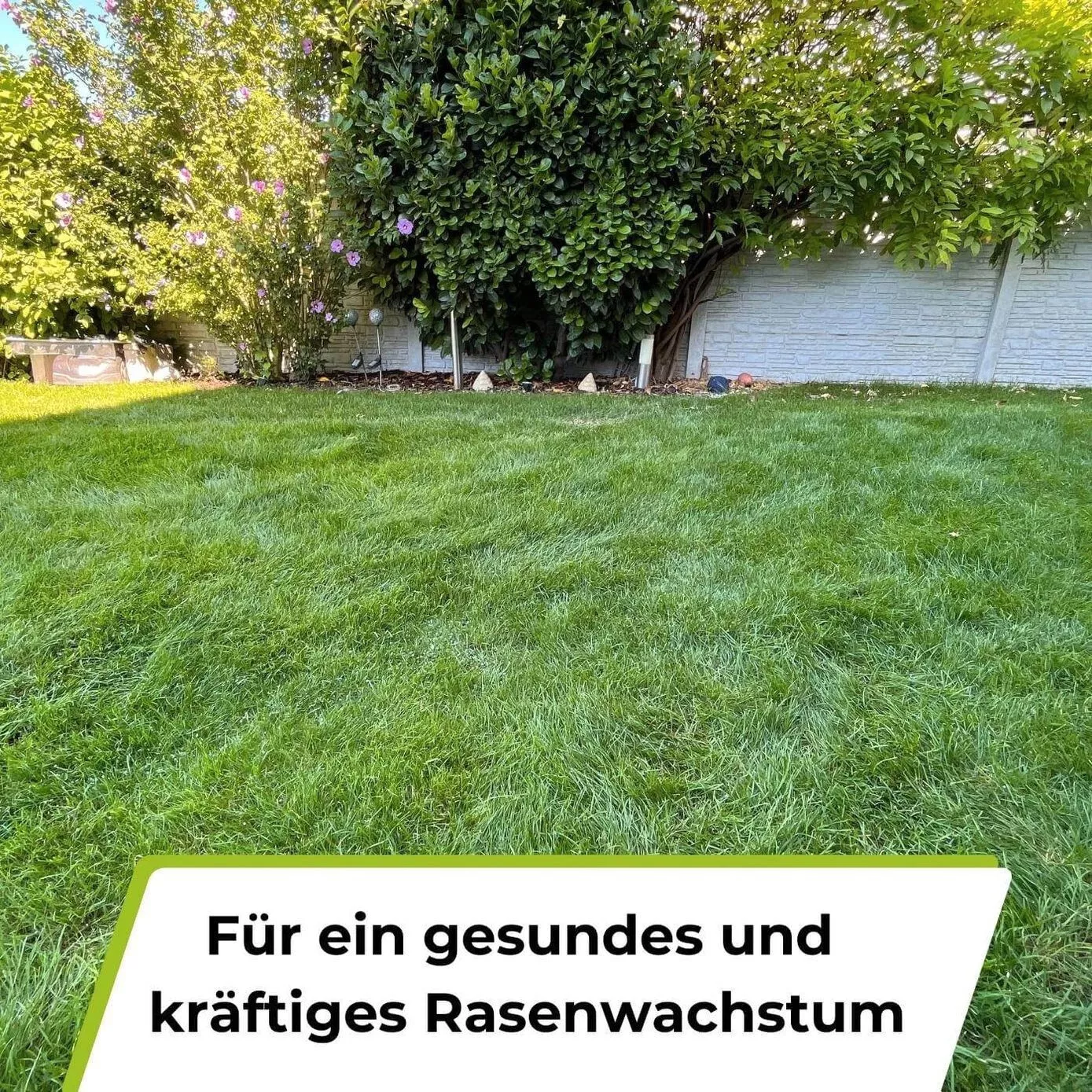 Bild 4 von 9