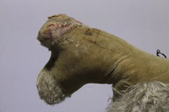 Antikes Spielzeug VINTAGE Steiff Hund auf Rädern Sitzhund 55cm (H462-6263-1-A45) - Bild 3 von 4