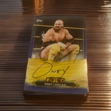 2020 Topps WWE NXT Wrestling Cards 18
