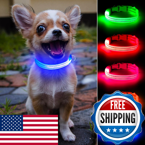 Domiglow Light Up Dog Collar For Small Dogs Reflective Led Dog Collar