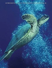 Environmental Science: Working with the Earth (with CD-ROM and InfoTrac)  - GOOD