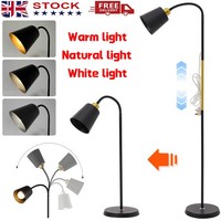 Adjustable Standard Floor Lamp Living Room Reading Light Free Standing Lighting
