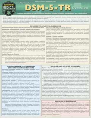 Dsm-5-Tr Overview: A Quickstudy Laminated Reference Gui - Paperback NEW Bernstei