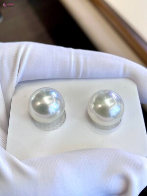 Gorgeous AAAAA 11-12mm south sea White  ROUND pearl  earring  14K Yellow  Gold