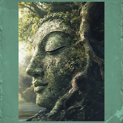 Buddha in der Natur Poster Schöne Wanddeko Dekoration