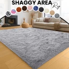 Indoor Shaggy Area Rugs for Living Room Bedroom Soft Fluffy Floor Mats Carpets