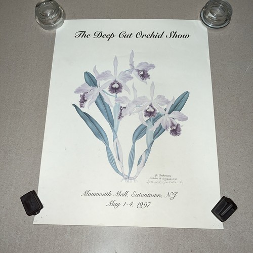 Monmouth Mall Eatontown NJ Deep Cut Orchid Show Art SIGNED Print Flower 1997