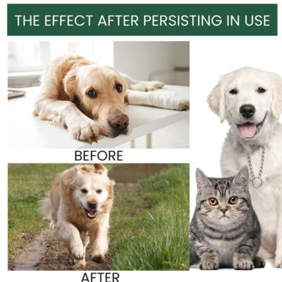 Pet Pain Relief Fluid Calming Aid For Cats Dogs Joint R1E9 Skin Hea a C3K3  T5S3