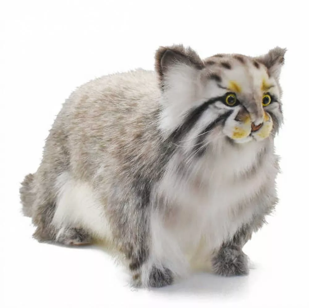 Life Size Standing Pallas's cat Stuffed Animals BH7077 HANSA (44 x 18 x 30  cm)