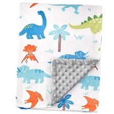 Baby Blanket for Kids Super Soft Minky 30 x 40 Inch Pack of 1 A Dinosaur