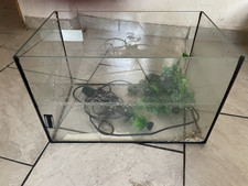 Glasaquarium mit Zubehör, transparentes Beck...