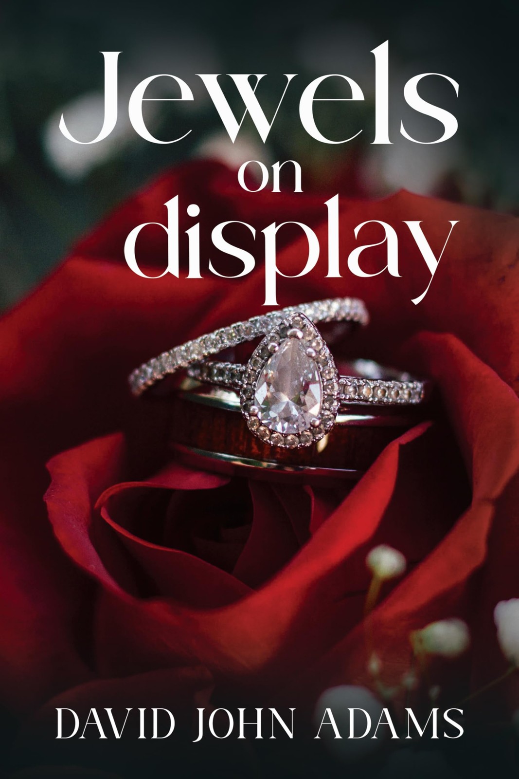 Jewels on Display by David John Adams (Paperback Book) - Image 3