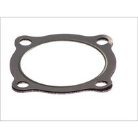 Dichtung, Lader Elring 891.207