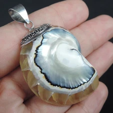 Clear Natural Nautilus Shell 925 Sterling Silver Pendant Jewellery, CNP-14