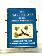 The Caterpillars Of British Butterflies (W.J. Stokoe - 1950) (ID:73495)