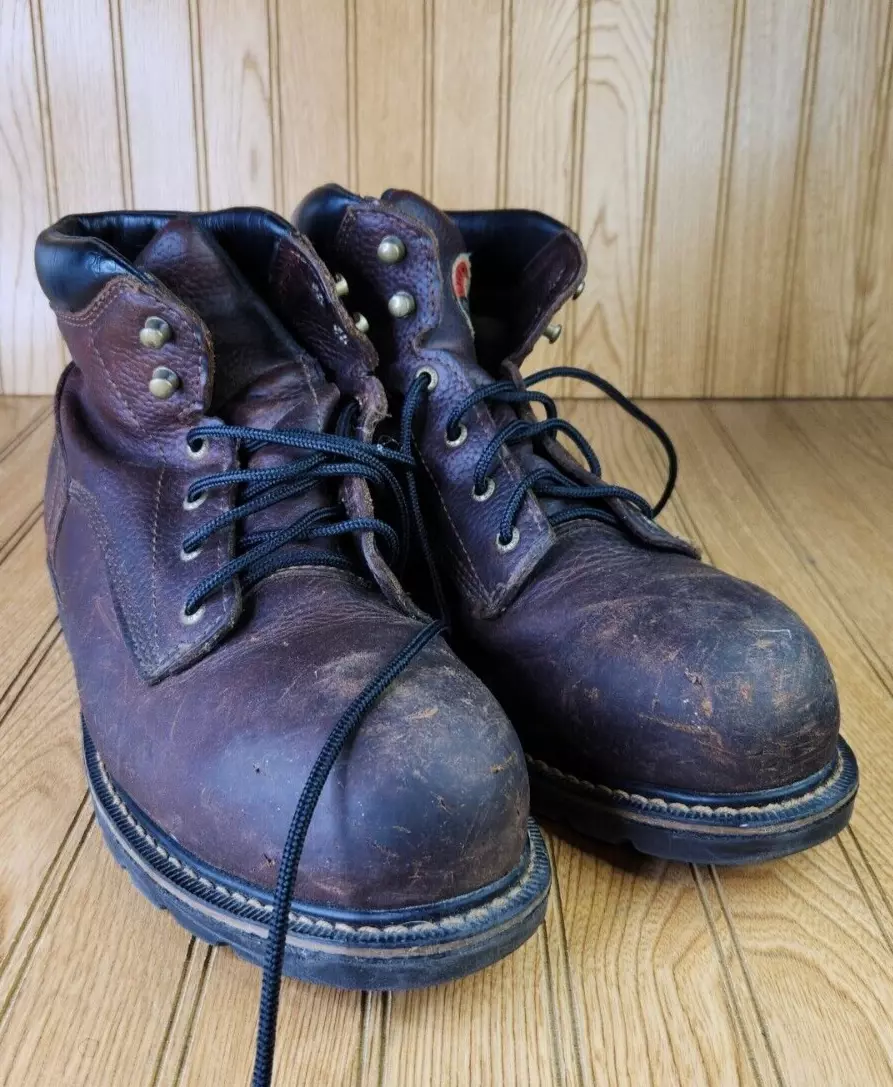 Irish setter 83604 deals
