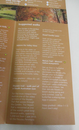 Mount Lofty Botanic Garden - Guide and Map - Adelaide Hills - South Australia - Picture 6 of 12