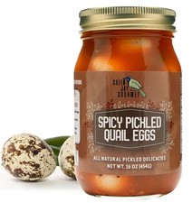 Spicy Pickled Quail Eggs in a Jar   Fresh Hand Jarred for Cooking  Pantry   ...