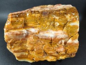9.5 lb Banded Chalcedony Rough – Highly Translucent Windowed Lapidary & Display