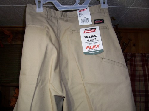 DICKIES MENS 13 INCH INSEAM RELAXED FIT 