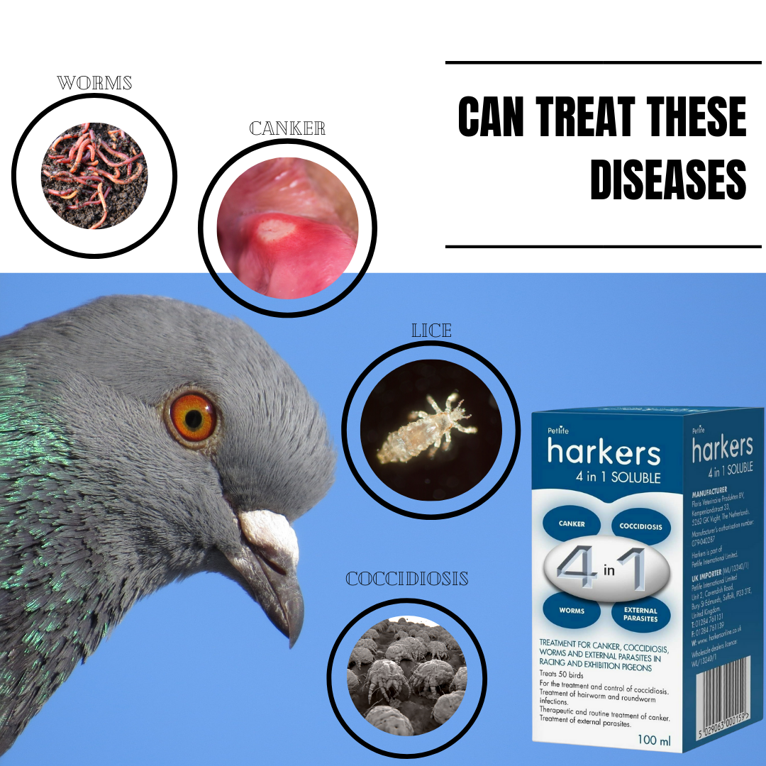 Harkers 4 in 1 Soluble 100ml Pigeon Bird Mite Treatment Canker