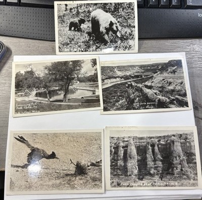 Vintage Del Rio TX Postcards Lot Black White Scenic Wildlife Bridge Canyon