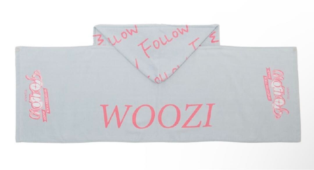 SEVENTEEN FOLLOW AGAIN TO JAPAN WOOZI Food Towel NEW | eBay