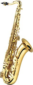 [Used] J Michael tenor saxophone TN-900